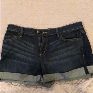 Ann Taylor Loft Denim Roll Short
